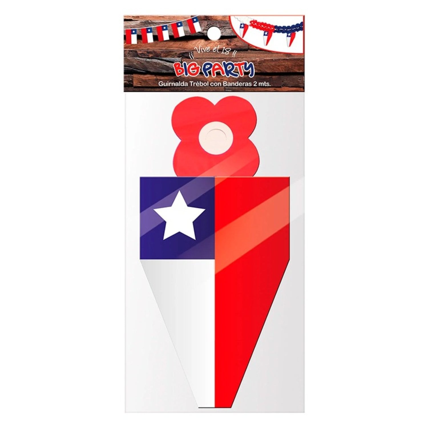 PACK X 4 GUIRNALDA DICIOCHERA TREBOL CON BANDERAS 2 METROS – BIG PARTY - 1