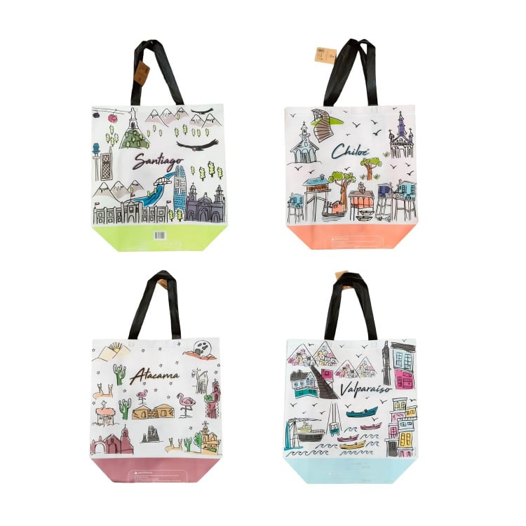 PACK DE 4 CARTERAS MULTIUSO CHILE COLLECTION  ERRE - 2