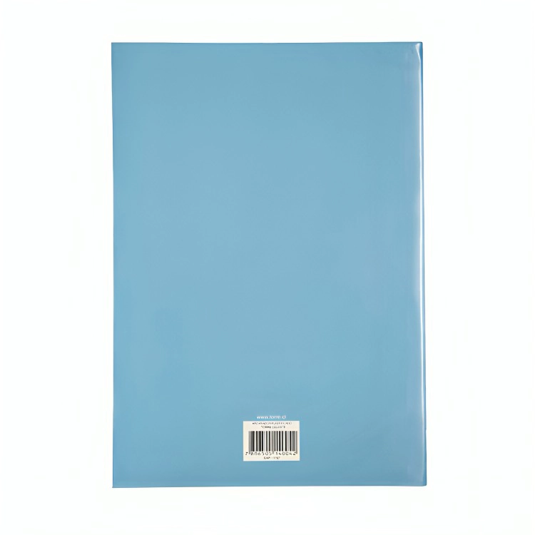 PACK 4 ARCHIVADOR PLASTIFICADO / CELESTE – TORRE - 3