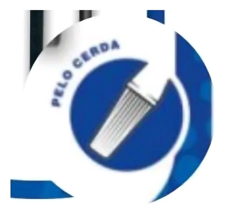 PACK 3 SET 3 PINCELES PELO CERDA PLANO N° 2-6-10 - 2