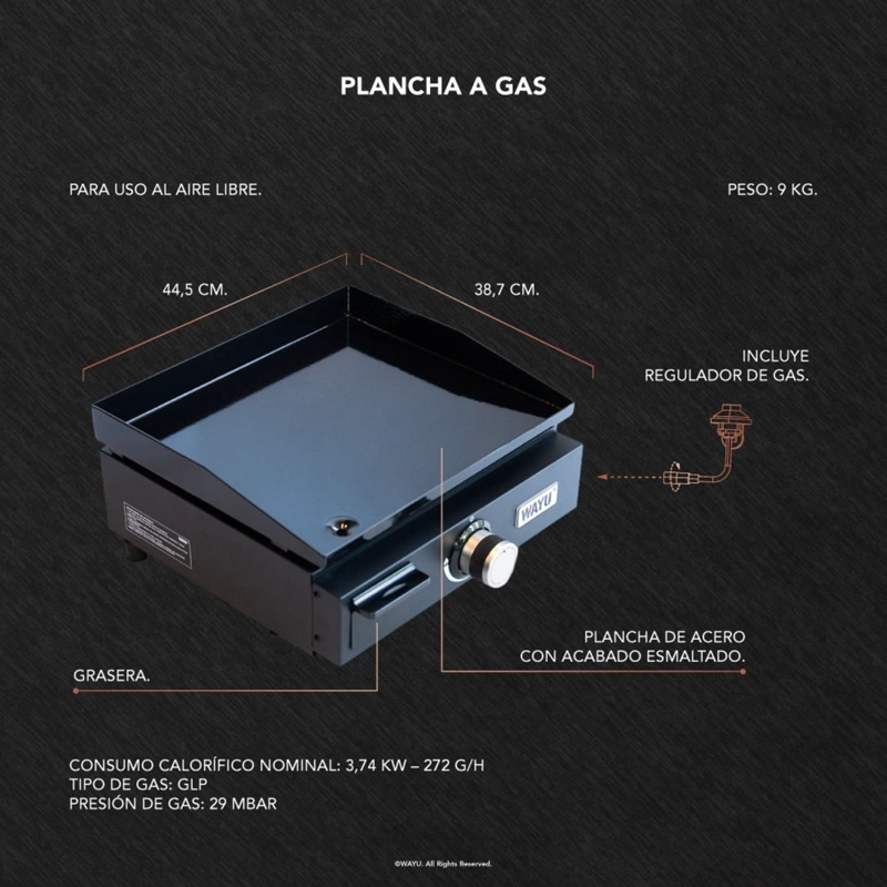 PLANCHA A GAS PARRILLA WAYU - 5