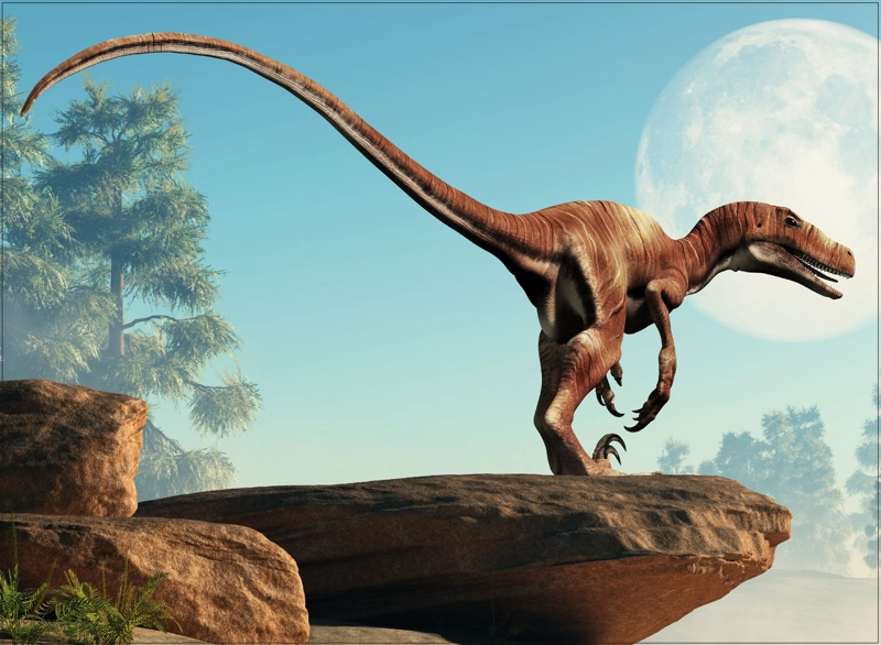 PUZZLE DEINONYCHUS COLECCION JURASICA (100 PIEZAS) - TOYNG - 5