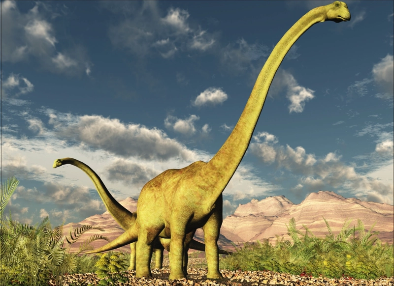 PUZZLE BRACHIOSAURUS COLECCION JURASICA (100 PIEZAS) - TOYNG - 5
