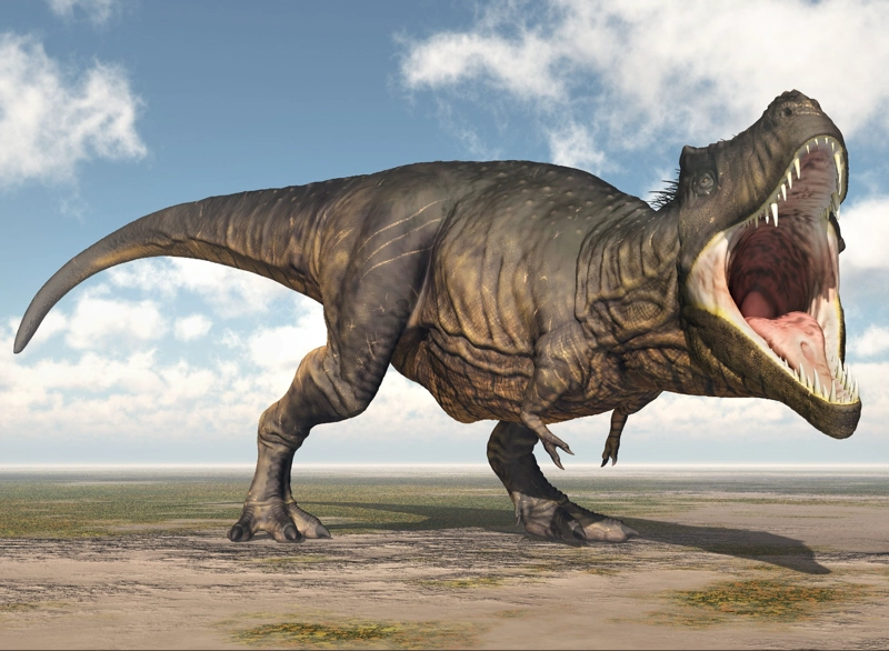 PUZZLE TYRANNOSAURUS REX COLECCION JURASICA (100 PIEZAS) - TOYNG - 4