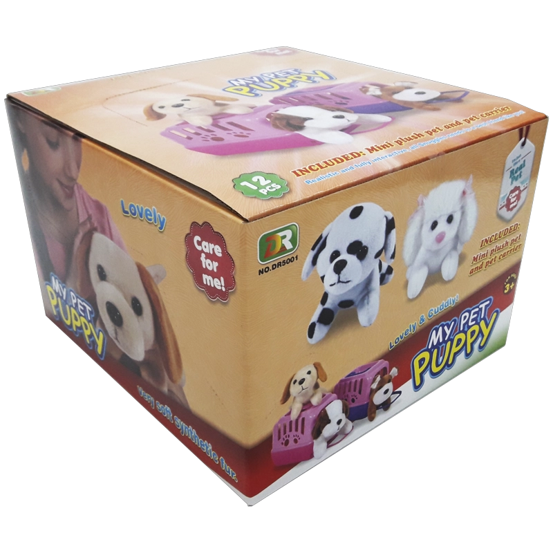PERRO CON CAJA TRANSPORTADORA - 4
