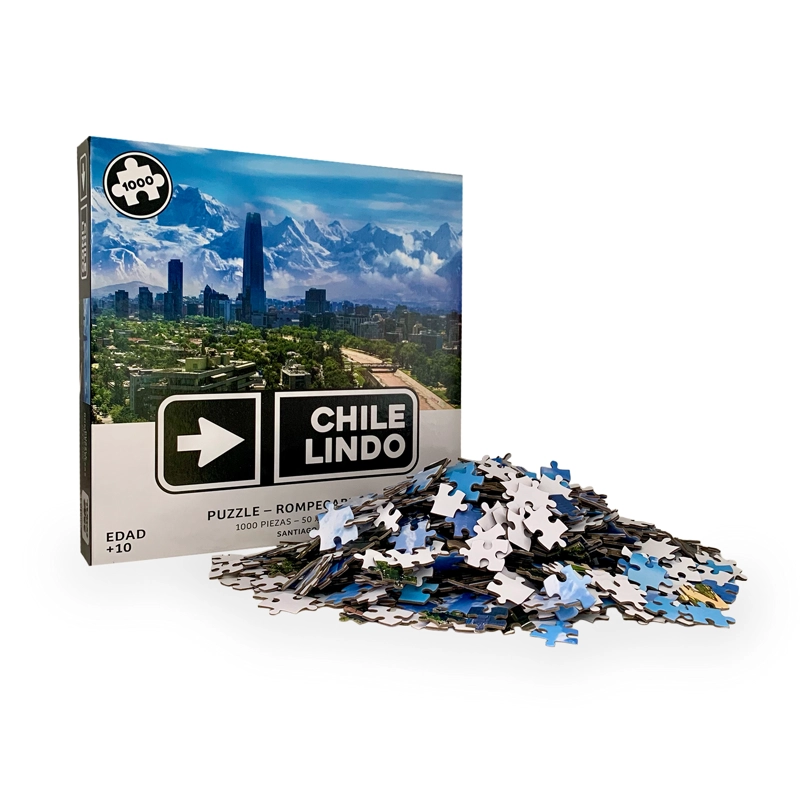 PUZZLE SANTIAGO - TOYNG - 1