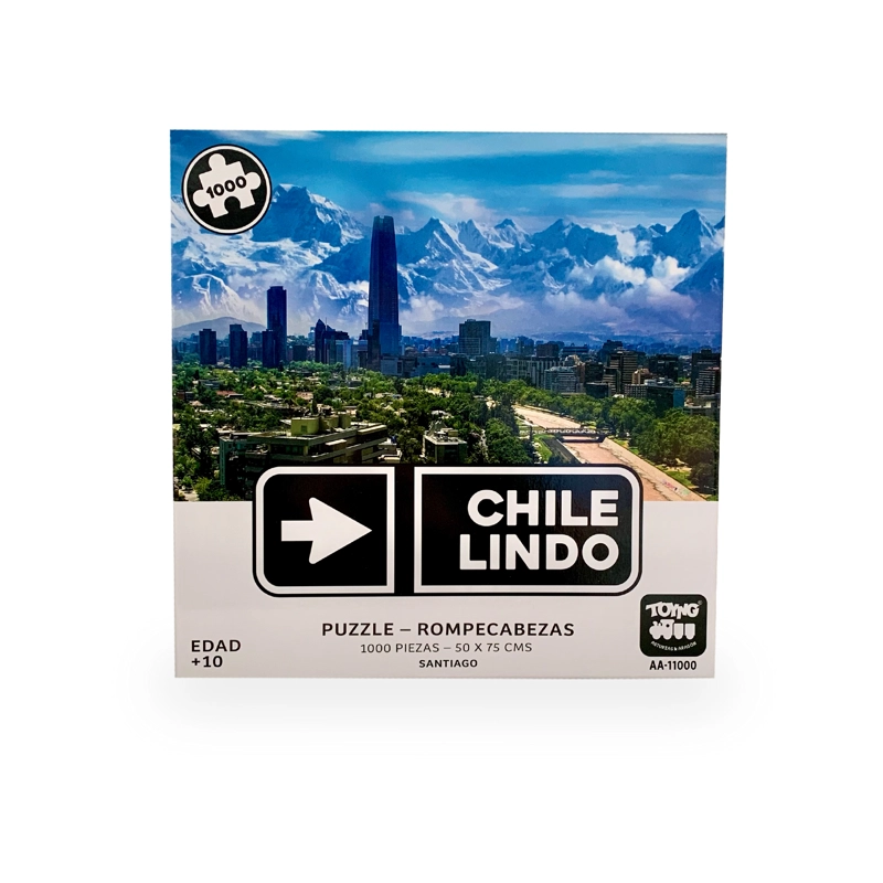 PUZZLE SANTIAGO - TOYNG - 3