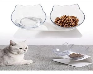 PLATITO DOBLE TRANSPARENTE DISEÑO GATO - 1