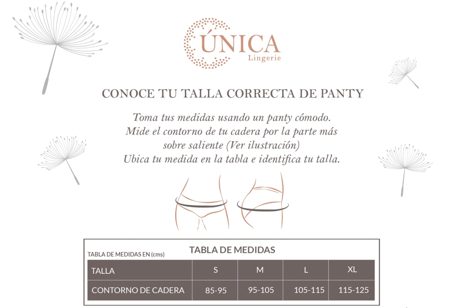 PACK X3 CALZÓN MUJER UNICA LINGERIE PANTALETAS MICROFIBRA SIN DEMARCACIÓN NEGRO - 6