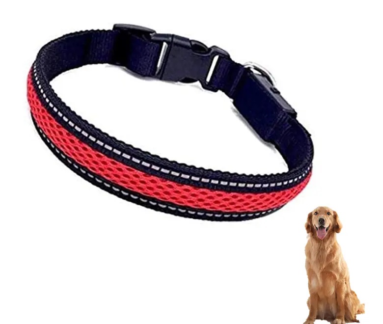 COLLAR PERROS GATOS LUZ LED 3 MODOS CARGA USB TALLA S - 2