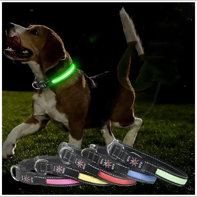 CORREA PERROS GATOS LUZ LED CARGA USB 3 MODOS TALLA S - 5