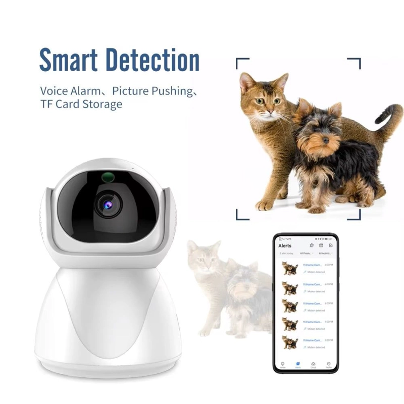 CAMARA DE SEGURIDAD IP WI-FI DUAL BAND 2.4 GHZ Y 5 GHZ VISION NOCTURNA - 3