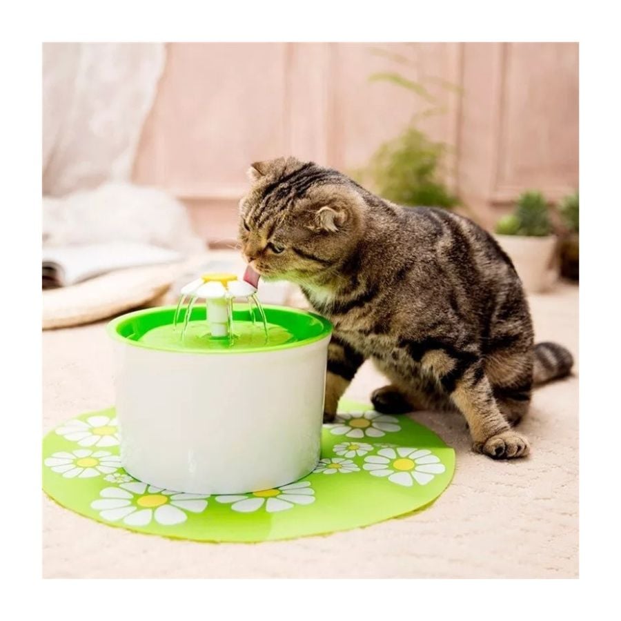 BEBEDERO PERROS CLICK VENTAS DISPENSADOR FUENTE AGUA VERDE - 4