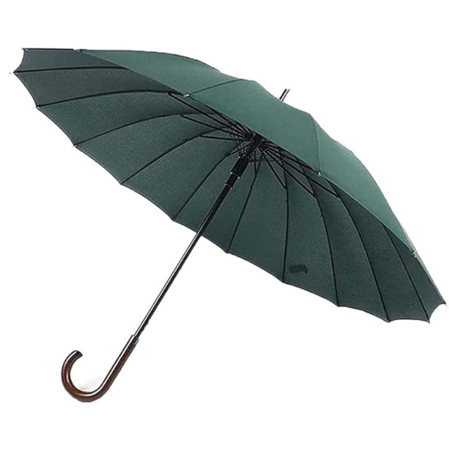 PARAGUA SOMBRILLA LARGO 65CM CON MANGO CURVO VERDE - 1