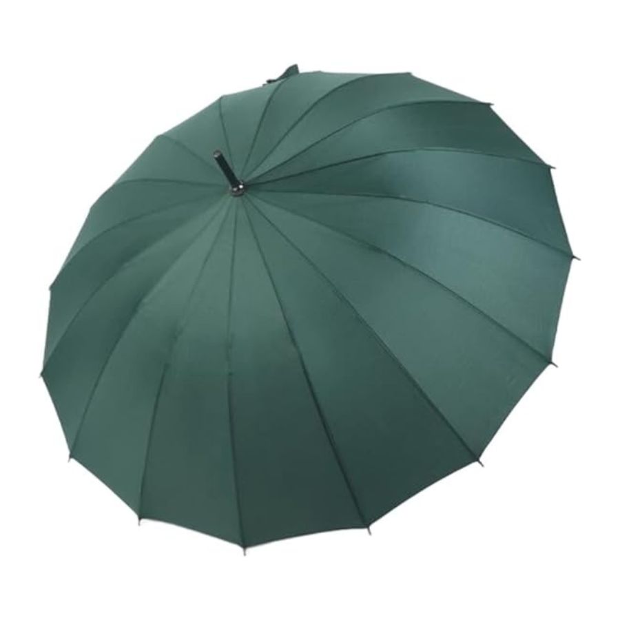 PARAGUA SOMBRILLA LARGO 65CM CON MANGO CURVO VERDE - 2