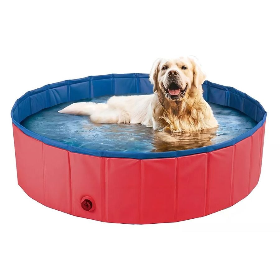 PISCINA CLICK VENTAS PLEGABLE PARA PERRO MASCOTAS VERANO 80X20 CM - 1