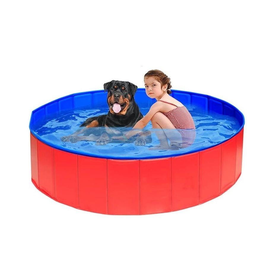 PISCINA CLICK VENTAS PLEGABLE PARA PERRO MASCOTAS VERANO 80X20 CM - 2