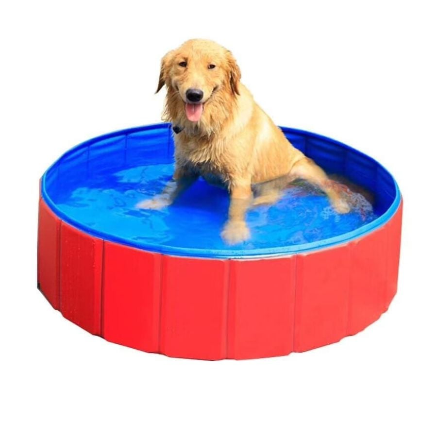 PISCINA CLICK VENTAS PLEGABLE PARA PERRO MASCOTAS VERANO 80X20 CM - 4