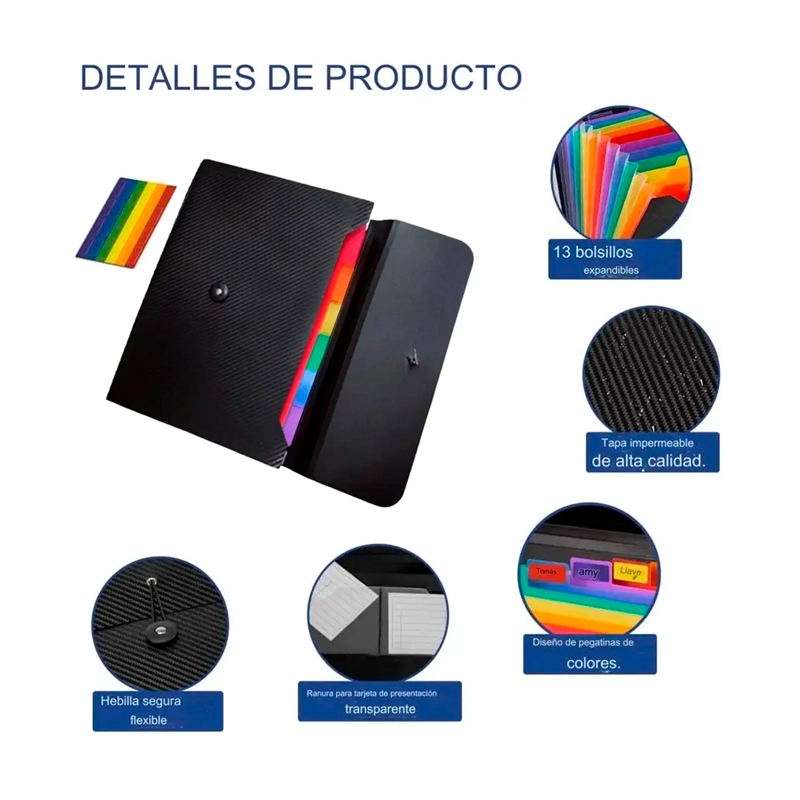 CARPETA ORGANIZADORA A4 TIPO ACORDEON 13 FUELLES COLORES - 2