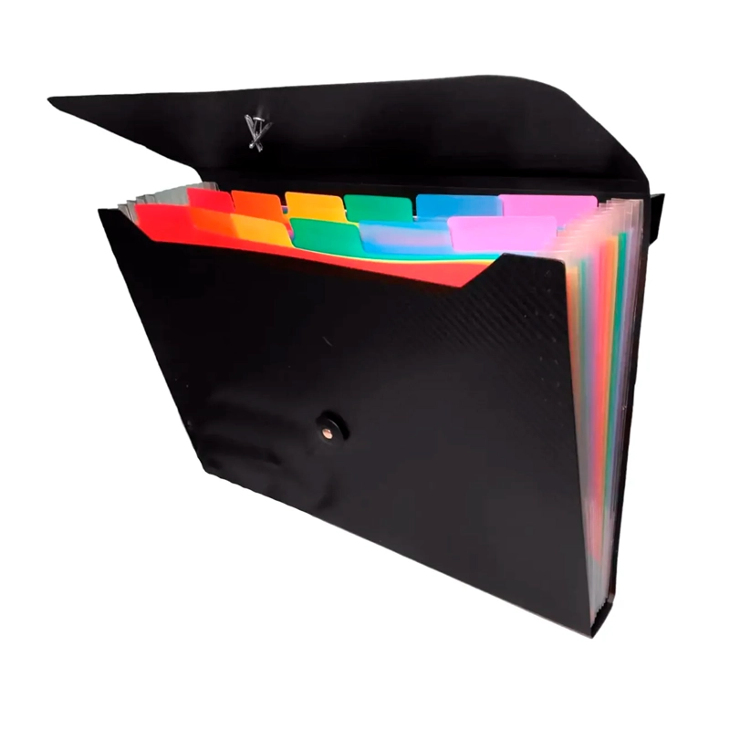 CARPETA ORGANIZADORA A4 TIPO ACORDEON 13 FUELLES COLORES - 3