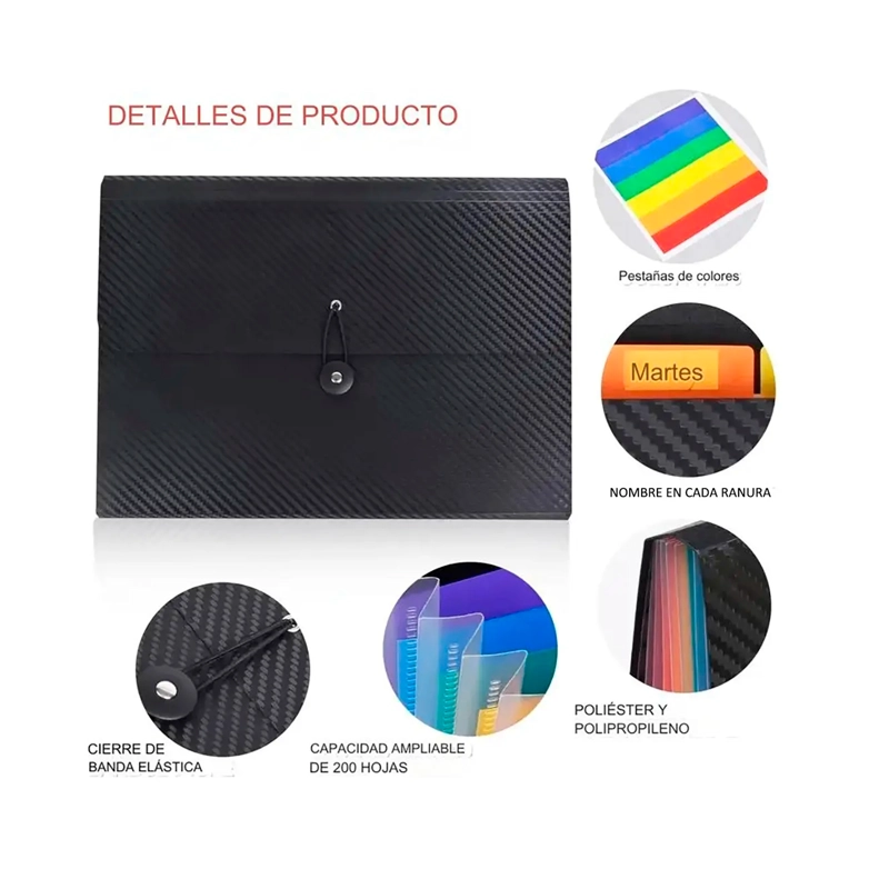 CARPETA ORGANIZADORA A4 TIPO ACORDEON 13 FUELLES COLORES - 4