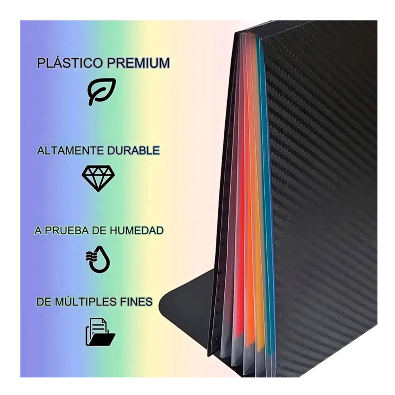 CARPETA ORGANIZADORA A4 TIPO ACORDEON 13 FUELLES COLORES - 5