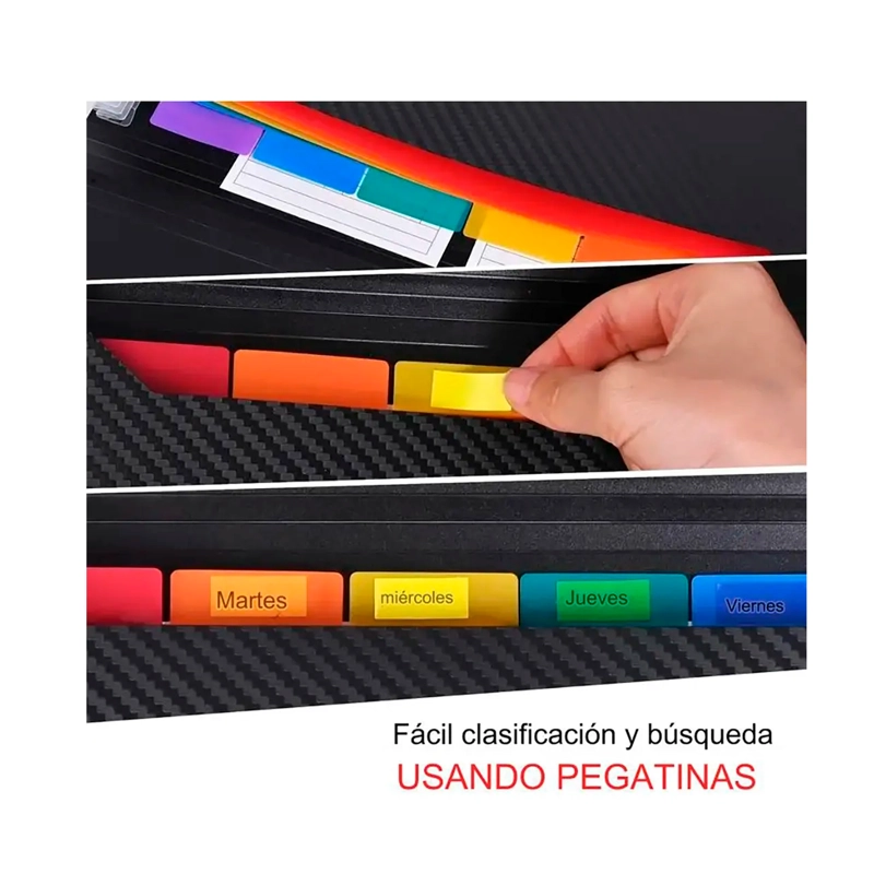 CARPETA ORGANIZADORA A4 TIPO ACORDEON 13 FUELLES COLORES - 6