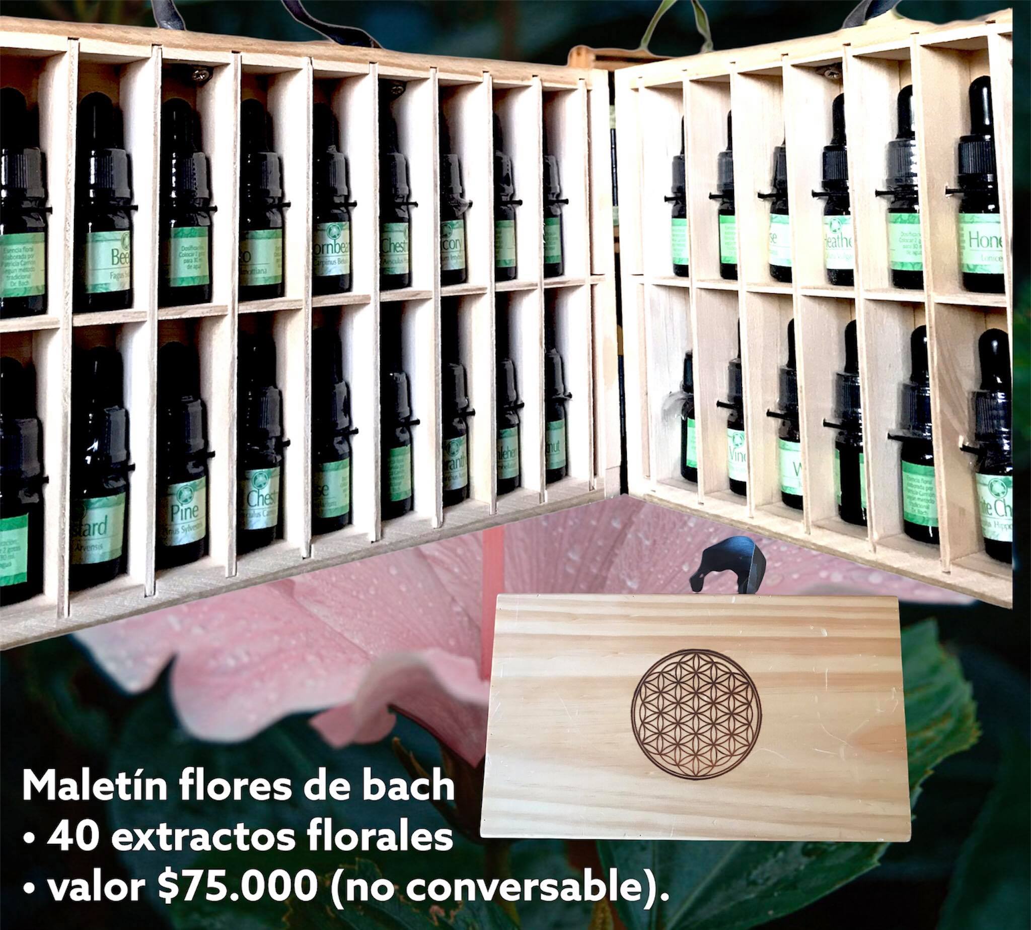 TRANQUILIZANTE FLORES BASH PERSONALIZADO SOLUCION ORAL - 1