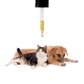 EXTRACTO HOMEOPÁTICO CBD GRANDE PARA MASCOTAS - 1