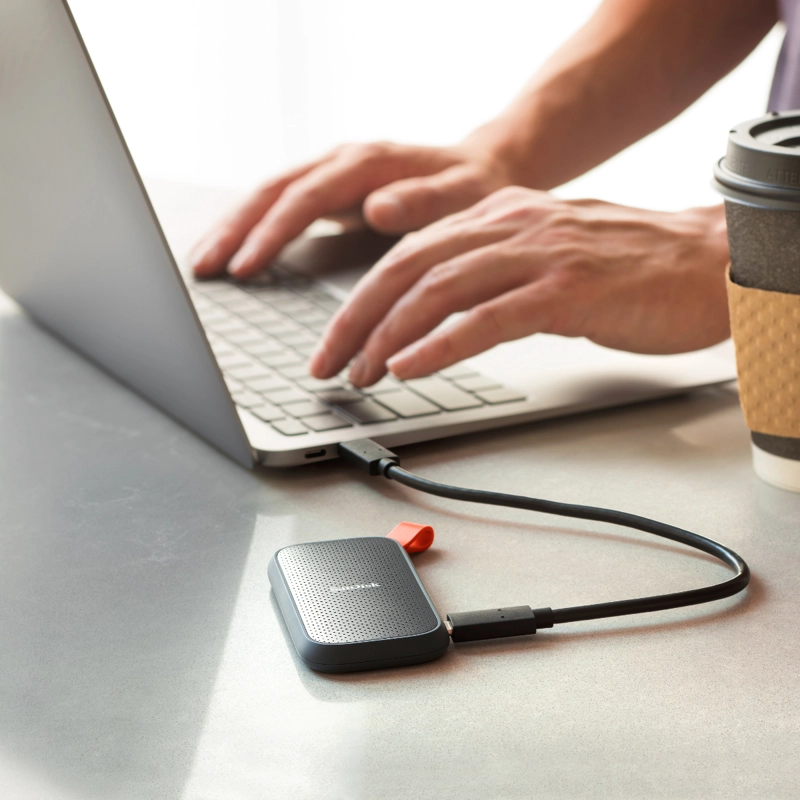SANDISK SSD PORTABLE (L) 1TB - 6