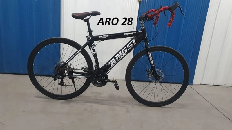 BICICLETA IMPORTADORA RUTA E MONTAÑA SPA ARO 28 - 2