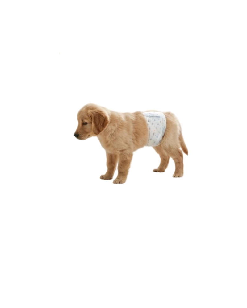 PAÑALES DESECHABLES PERRO MACHO PETSHOW TALLA S X 12 UNIDADES - 6