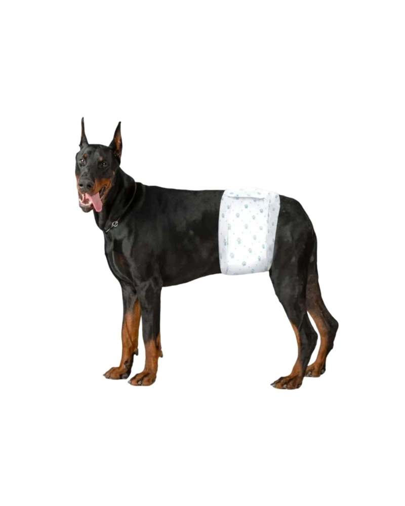 PAÑALES DESECHABLES PERRO MACHO PETSHOW TALLA L X 24 UNIDADES - 6