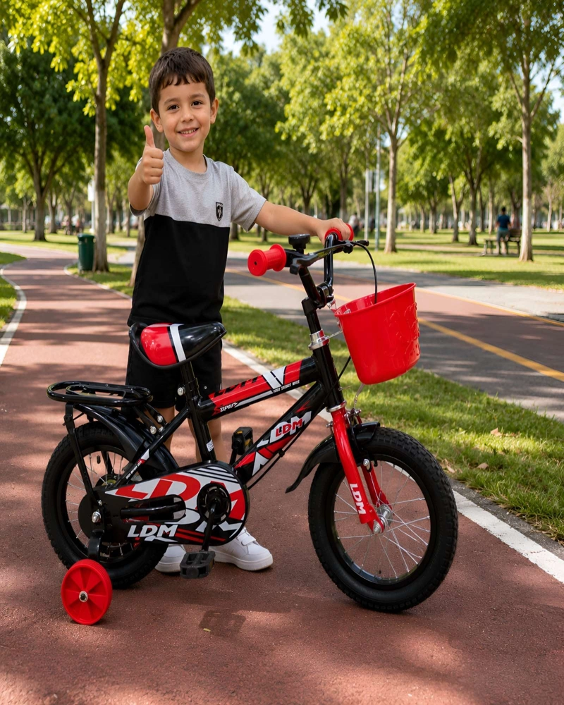 BICICLETA INFANTIL DE INICIACION CON RUEDAS DE APOYO ARO 12 - 1