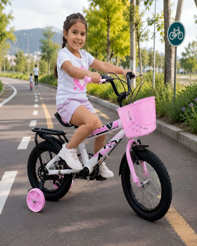 BICICLETA INFANTIL DE INICIACION CON RUEDAS DE APOYO ARO 12 - 2