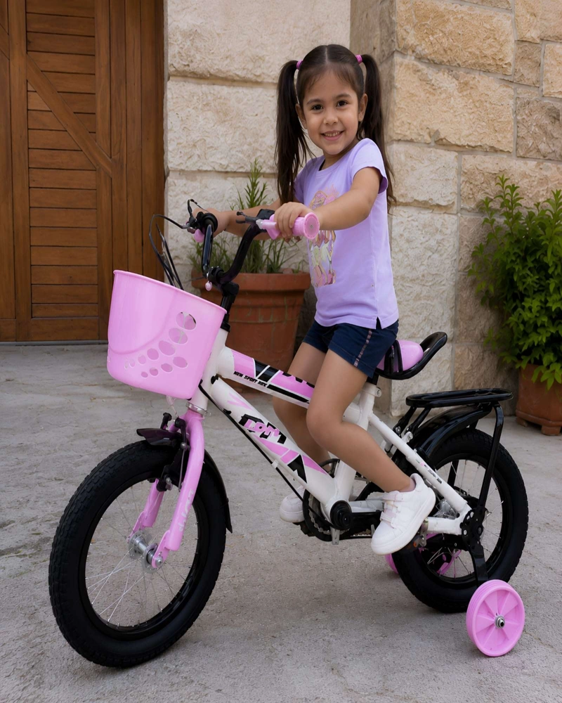BICICLETA INFANTIL DE INICIACION CON RUEDAS DE APOYO ARO 12 - 3