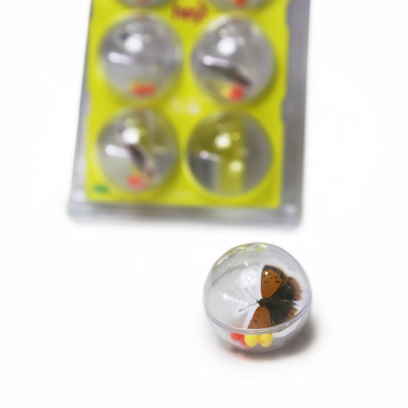 JUGUETE PARA GATO PACK DE 6 PELOTAS CON INSECTOS - 2
