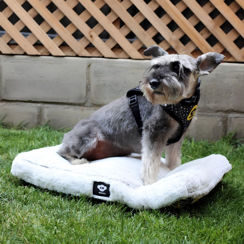 COLCHON CAMA PARA PERRO O GATO ANTI-ESTRE S LAVABLE BRNX 'XS' INVIERNO - VERANO - 1
