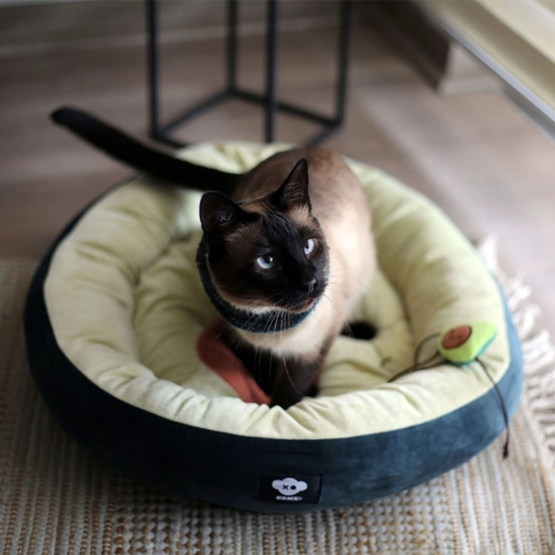 CAMA PARA PERRO O GATO PALTA LOVERS BRNX - 3