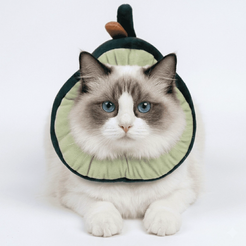 COLLAR ISABELINO FORMA DE PALTA HEY! - 1