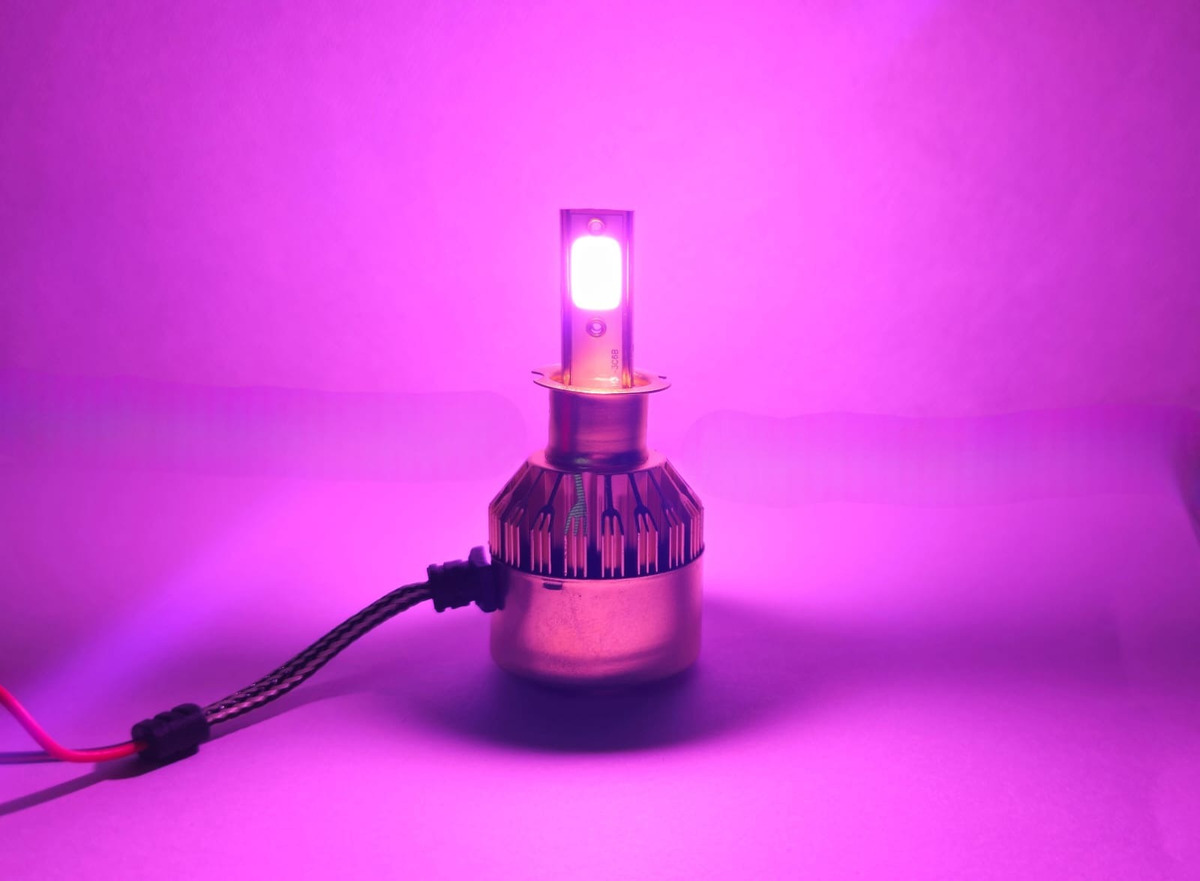 X2 AMPOLLETA DORADA RYC LUZ LED ROSA AUTO 12V H3 - 2