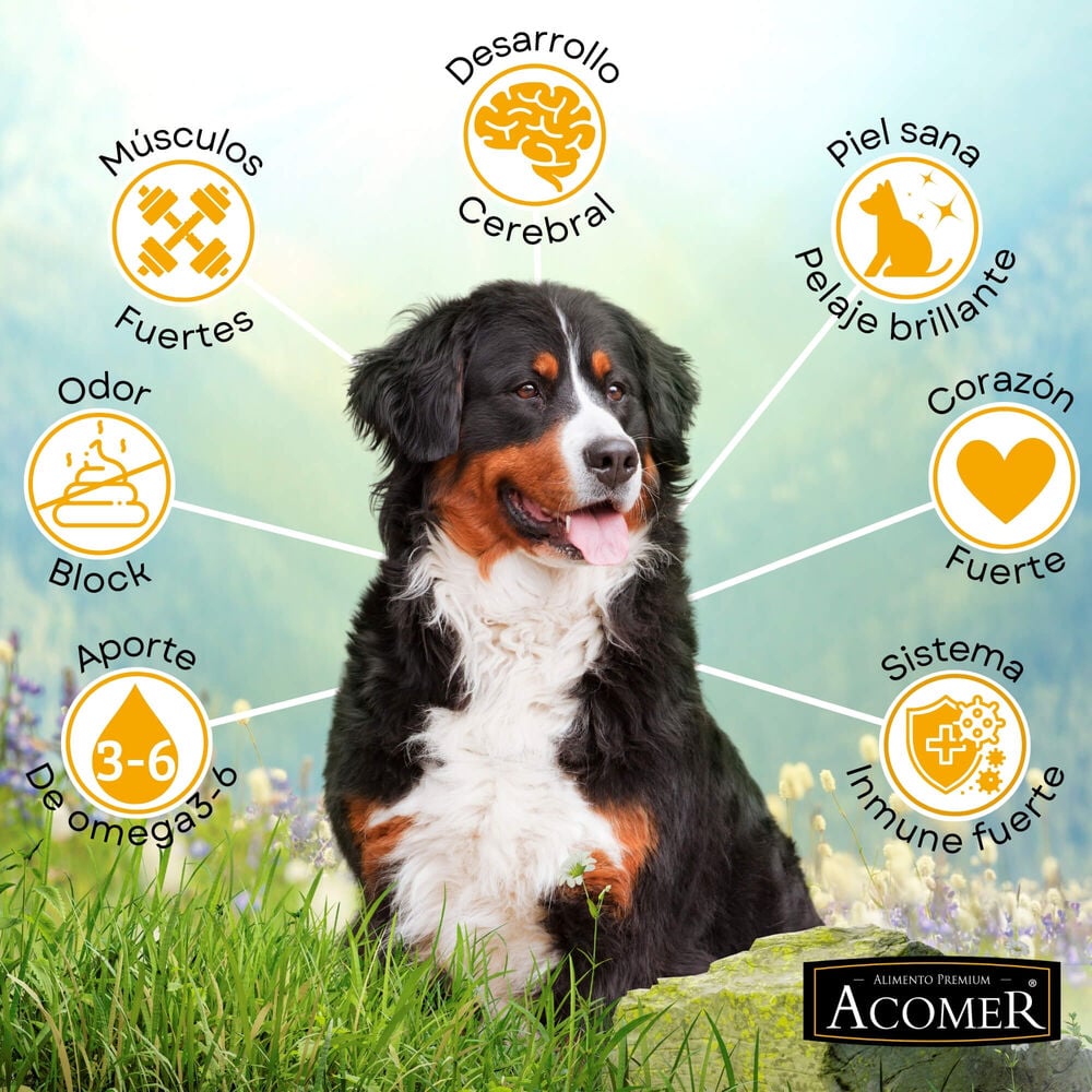 ALIMENTO SECO PERROS ADULTO ACOMER 18 KG - 3