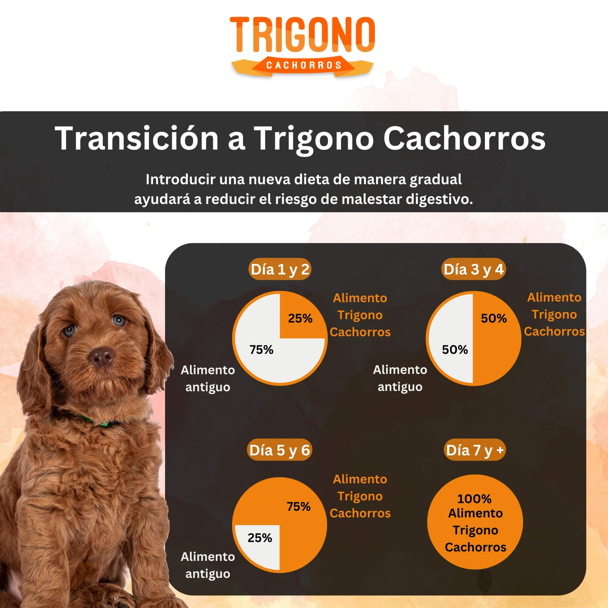 ALIMENTO SECO PERROS CACHORRO TRIGONO SABOR CARNE 10 KG - 4