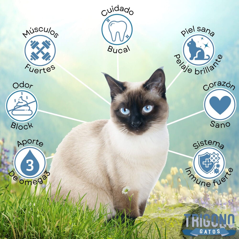 ALIMENTO SECO GATOS ADULTO TRIGONO 10 KG - 2
