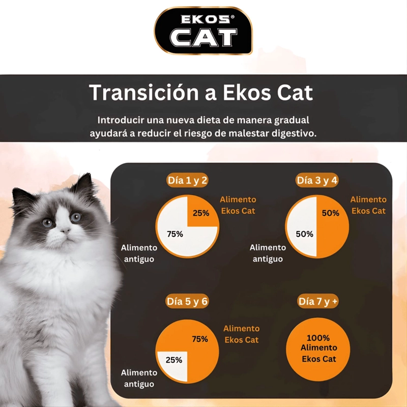 ALIMENTO SECO GATOS ADULTO EKOSCAT SABOR CARNE 10 KG - 6