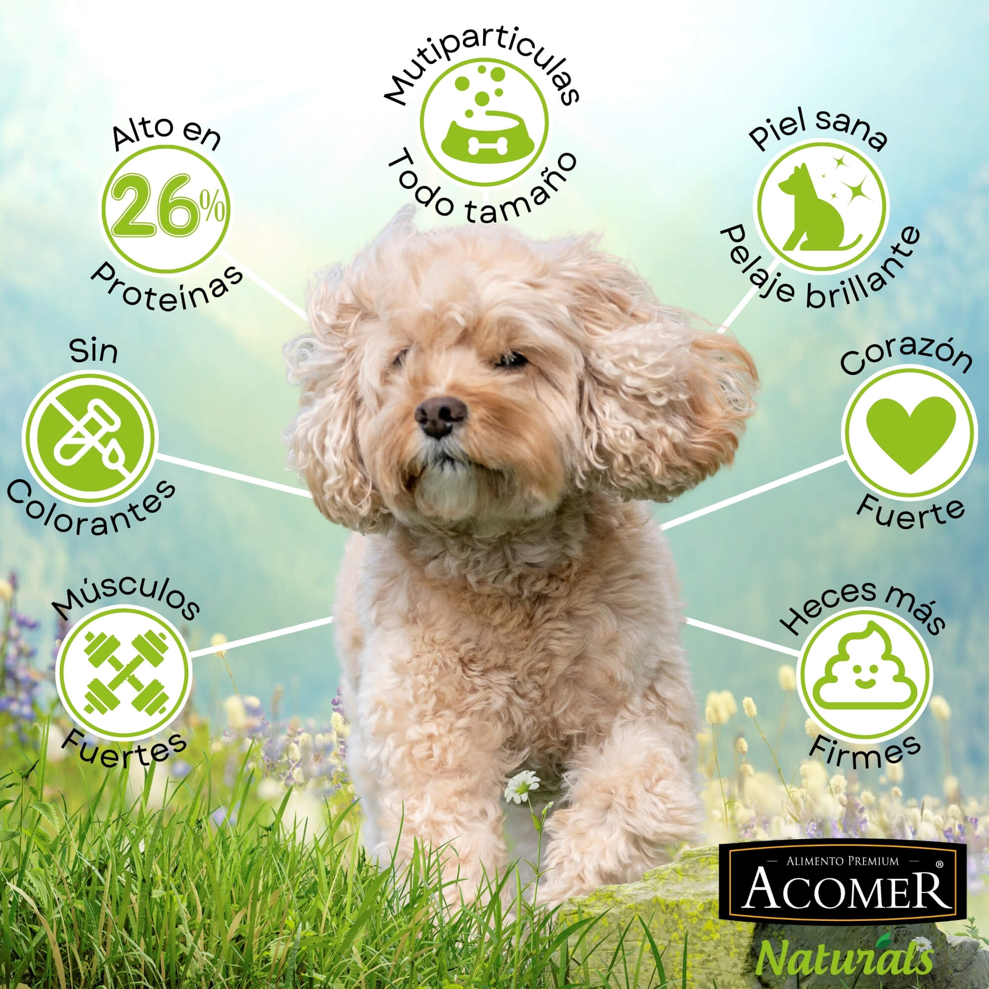 ALIMENTO SECO PERROS ADULTO ACOMER 22 KG NATURALS - 5