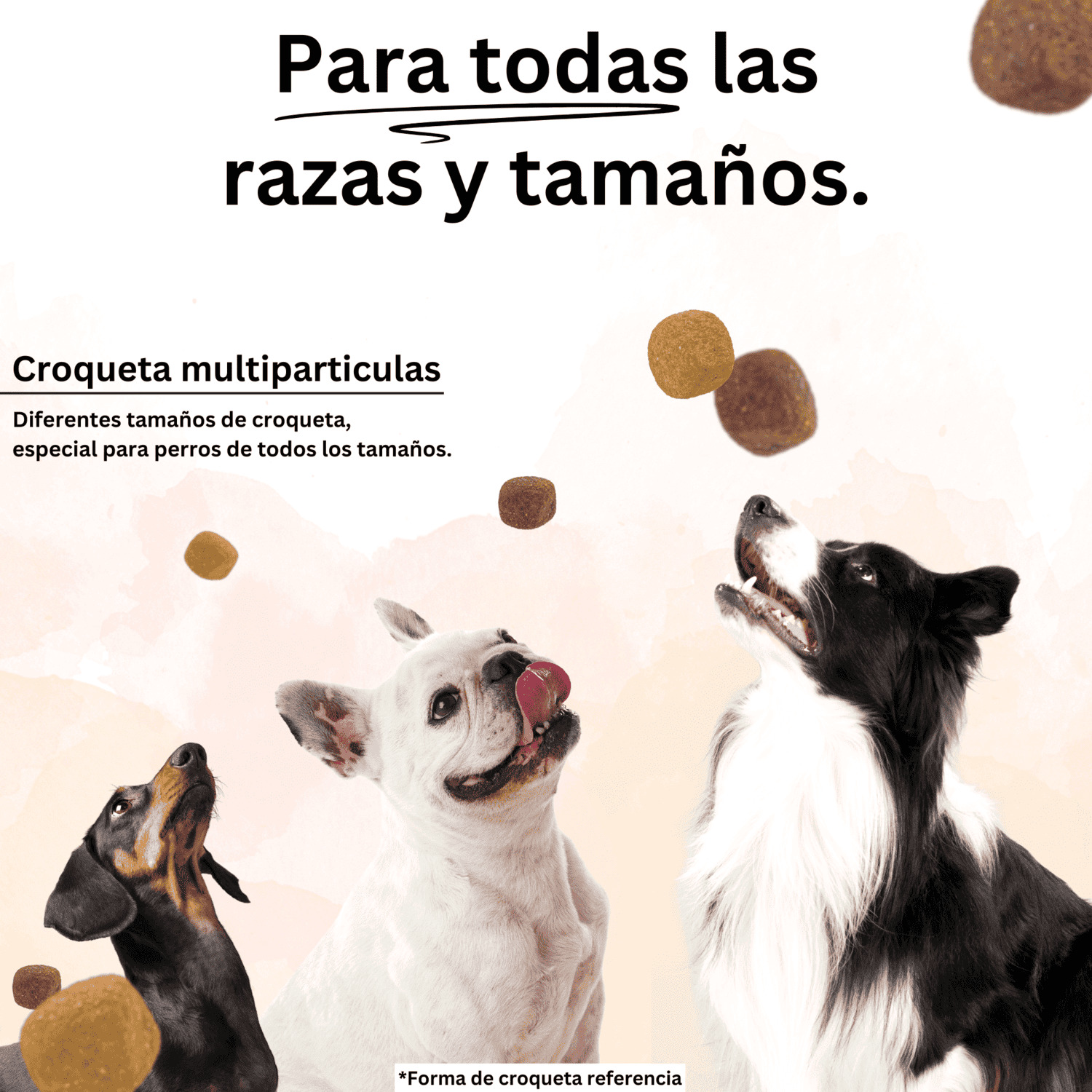 ALIMENTO SECO PERROS ADULTO ACOMER 22 KG NATURALS - 7