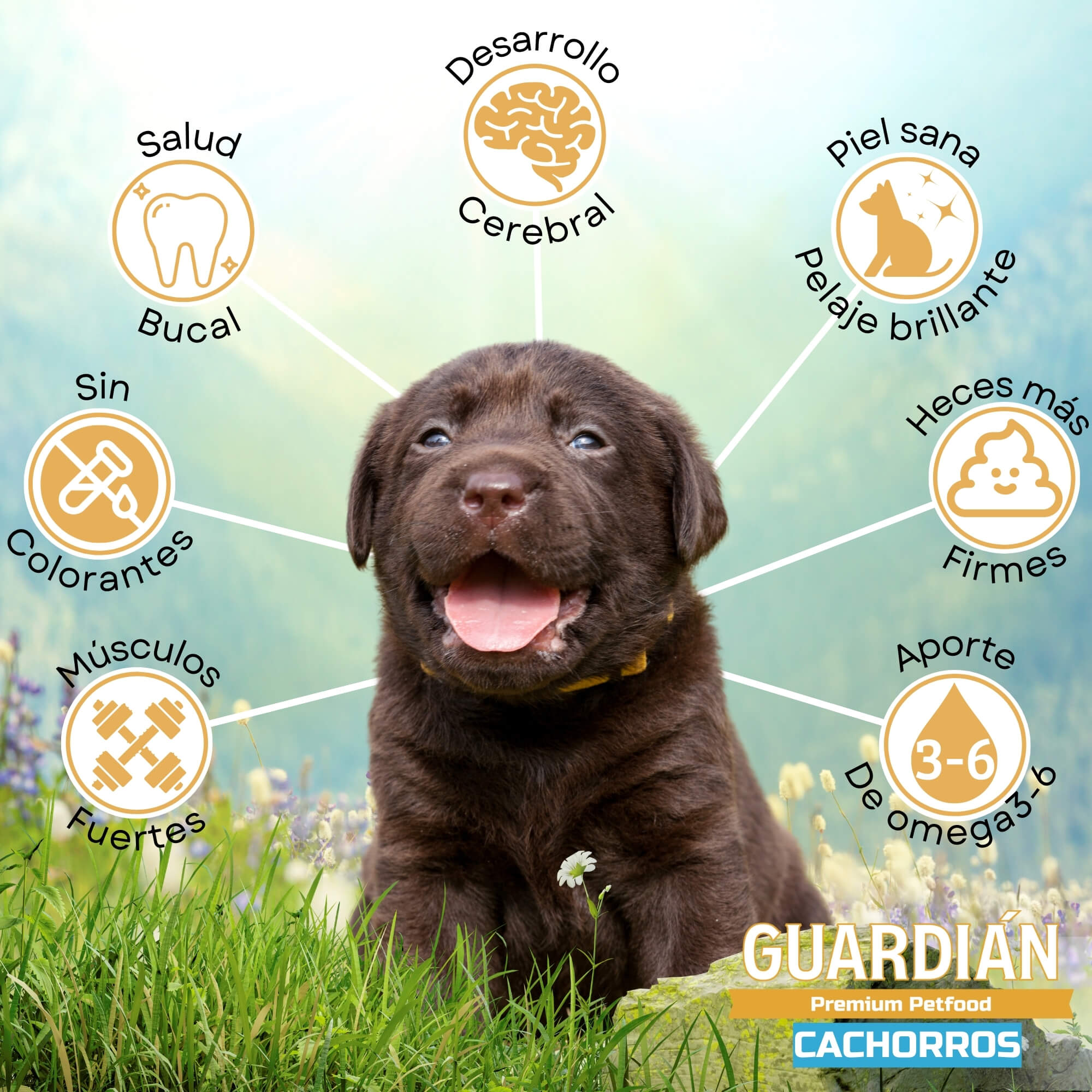 ALIMENTO SECO PERROS CACHORRO GUARDIAN SABOR CARNE 16 KG GUARDIÁN - 4