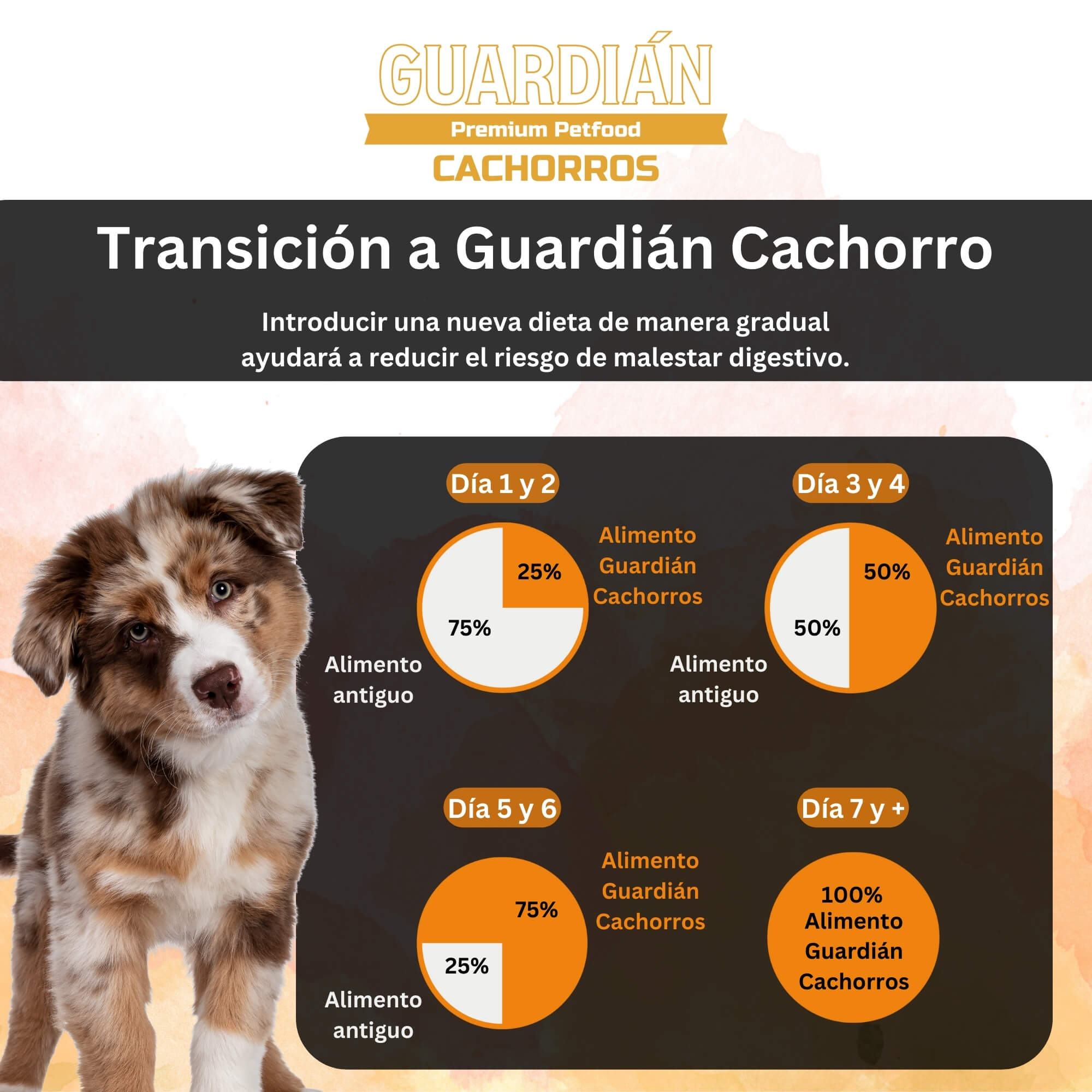 ALIMENTO SECO PERROS CACHORRO GUARDIAN SABOR CARNE 16 KG GUARDIÁN - 5