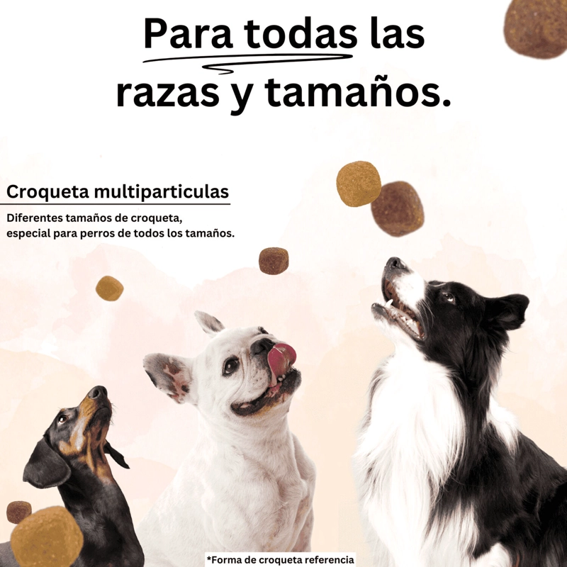 ALIMENTO SECO PERROS ADULTO GUARDIAN SABOR CARNE 22 KG GUARDIÁN - 6